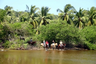  Randonnées à cheval 